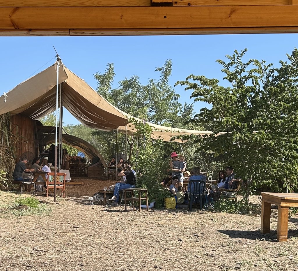 קפה יער - פשוט לאכול